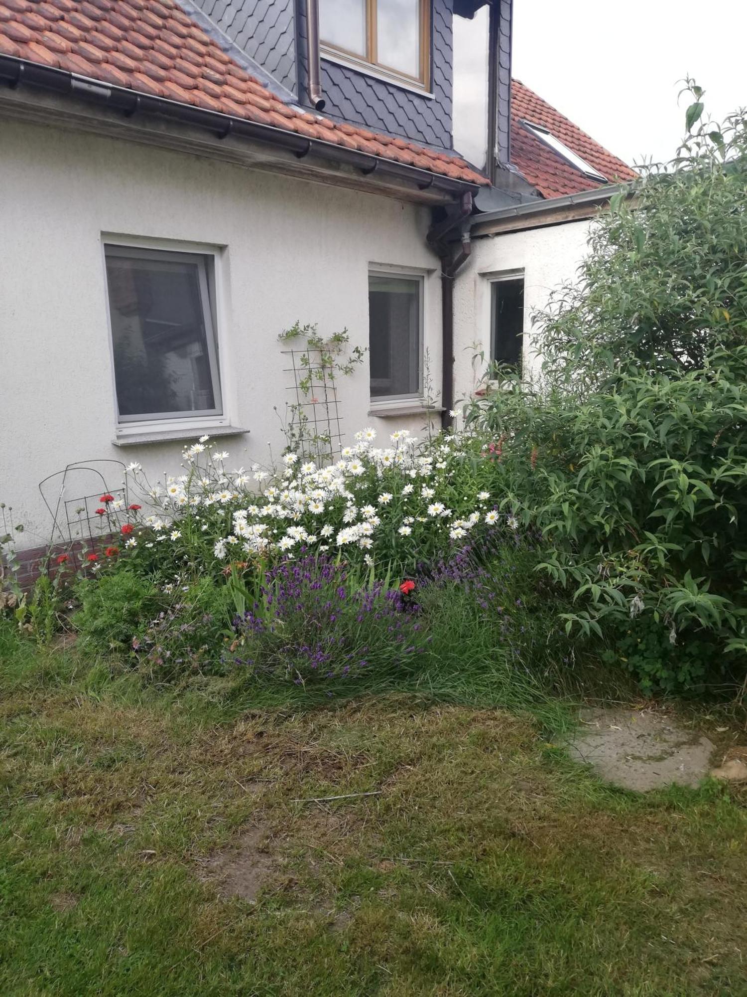 Ferienwohnung ヴィッテンブルク エクステリア 写真